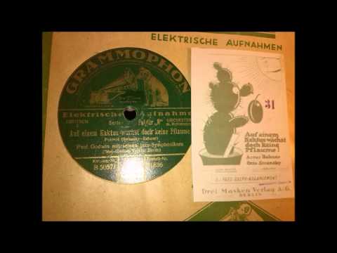 Paul Godwin Jazz-Symphoniker: Auf einem Kaktus wächst doch keine Pflaume - Berlin 1928