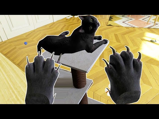 Cat Simulator