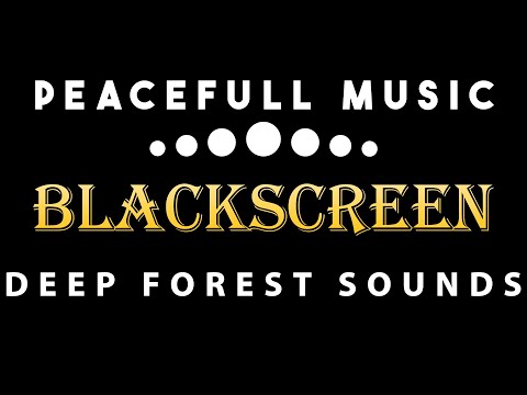10 Hours of Peaceful Owl Forest Sleep Sound: Black Screen