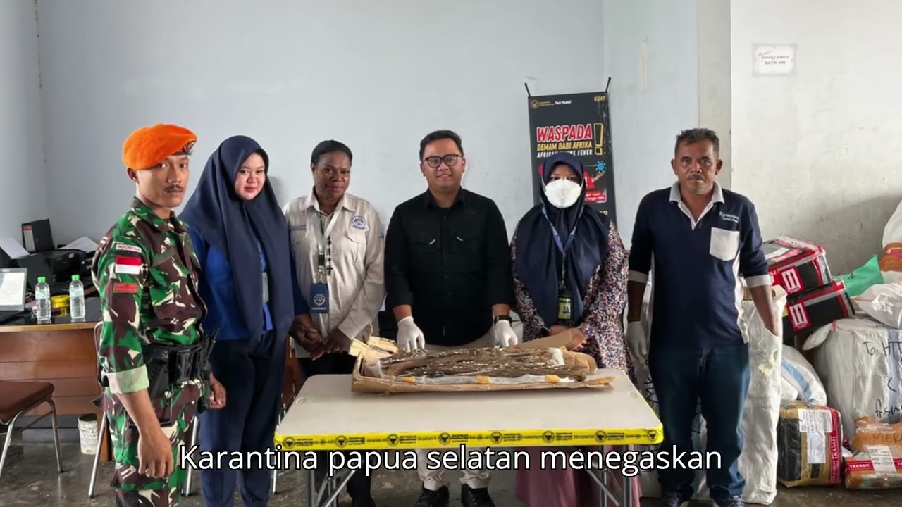 PENGUNGKAPAN PENYELUNDUPAN KAYU GAHARU DI BANDARA MOPAH: MODUS "BARANG PRIBADI" TERBONGKAR!
