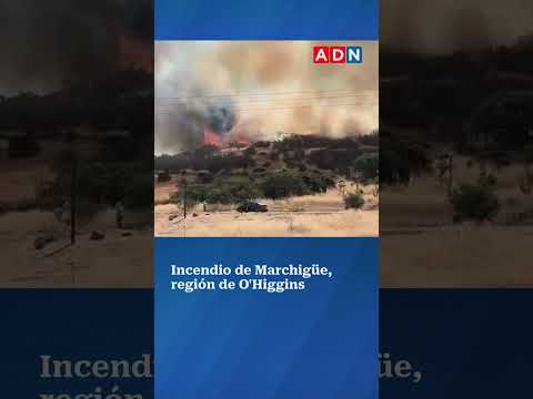 Reportan foco de incendio en Marchigüe, región de O'Higgins