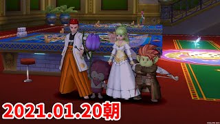ドラゴンクエストX(10)