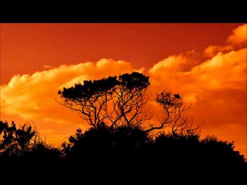 Kryon 2017 - Feel open