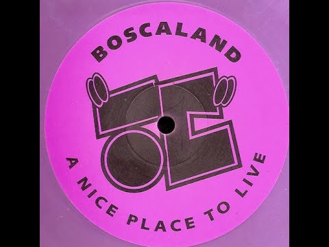 The Dentist & Rob Gee - @ Boscaland (1994)