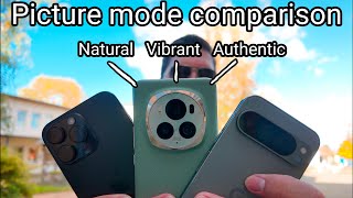 Honor Magic 6 Pro vs Pixel 9 Pro XL vs iPhone 16 Pro Max