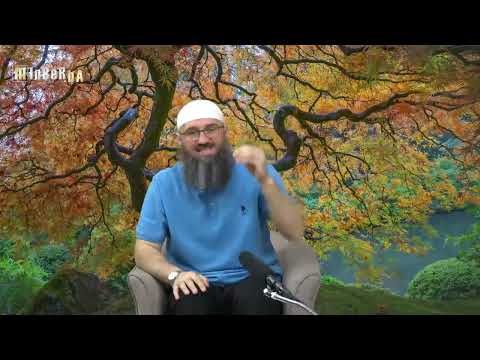 Mora li se abdest obnoviti ako izađe bijelo pranje? - Elvedin Pezić