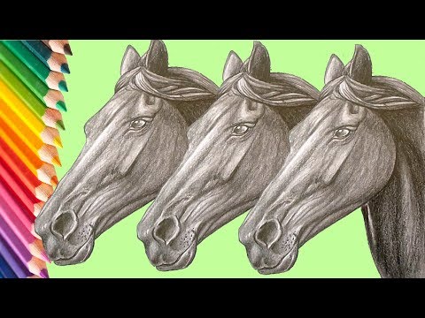 How To Draw Horses With Easy Step By Step Drawing Lessons How To Draw Horses With Easy Step By Step Drawing Lessons