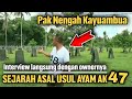 WAWANCARA SEJARAH ASAL USUL DAN PERKEMBANGAN AYAM GETAR AK47 DIBALI