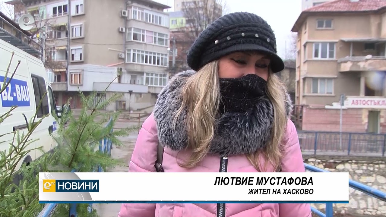 Между 15 и 30 лв. струва живата елха за Коледа тази година
