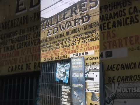 #ayudaanimal  #guatemala #zona5 #ciudaddeguatemala 34 av 32-22 zona 5 colonia Arrivillaga