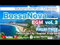 BossaNova BGM 3 PALM TREE Background Music For Work And Study