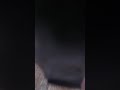 Fortnite with Brie Larson Fortnite with Brie Larson