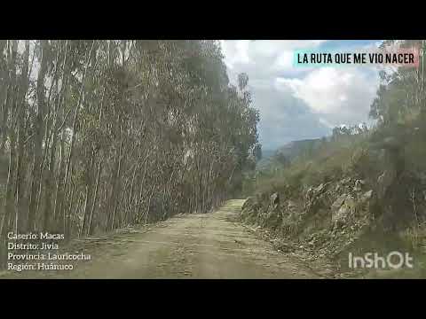 Ruta de Huanuco a JIVIA Lauricocha 