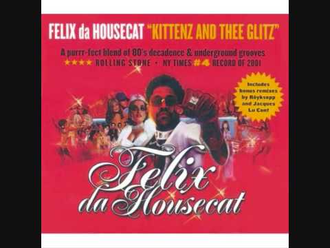 Felix the housecat - My live is music