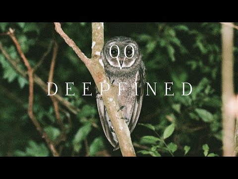 King P - Phezu'Kwendlu (Revisit) ft. Miano (Official Visualizer)