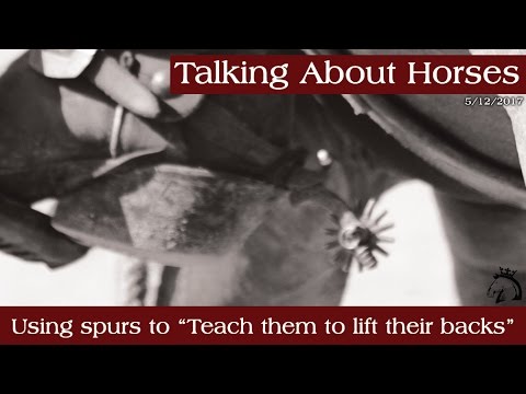 Using spurs to "teach them to lift their backs"