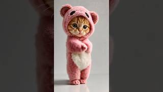 Download lagu 😻Apache Apache! This Singing & Dancing Kitty Is Too Cute!😻 #cute #kitten #dance mp3 Download lagu 😻Apache Apache! This Singing & Dancing Kitty Is Too Cute!😻 #cute #kitten #dance mp3