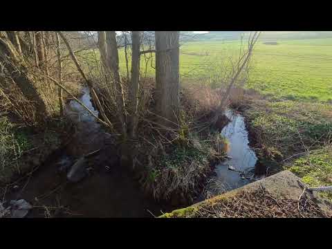 Spaziergang um die Reha Klinik Quellental