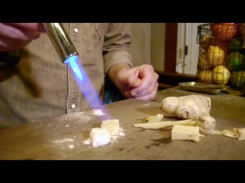 "EN HALV HUND" Vol. 53 - Penicillin