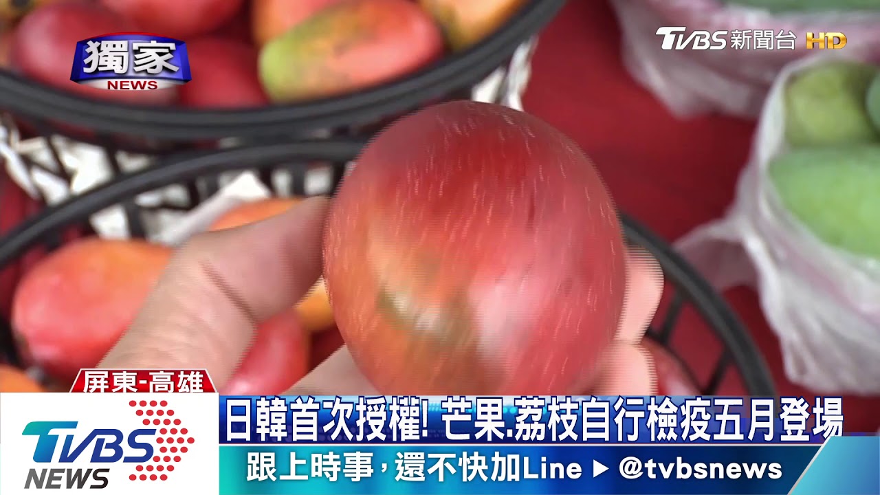 信任我檢疫技術!日韓首授權 芒果荔枝自檢