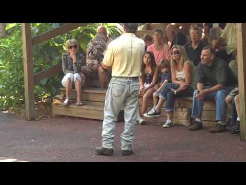holding a barred owl.