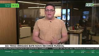 Miniatura do vídeo