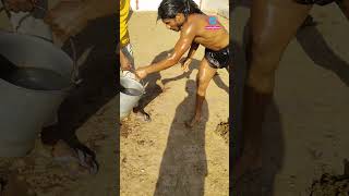 Download lagu Desi Tarzan's dung bath 😱 mp3