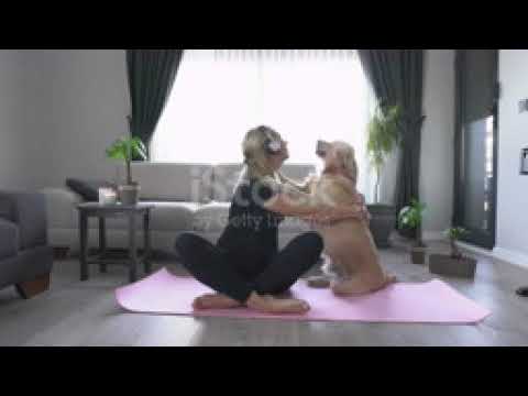 The dog is doing yoga and so cut | dogs 2021