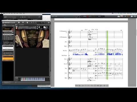 Blakus Cello with Notion