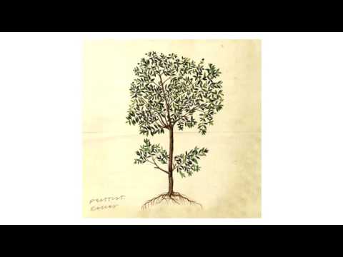 Phattcut - Raices (en2ak Remix) *FREE D/L*