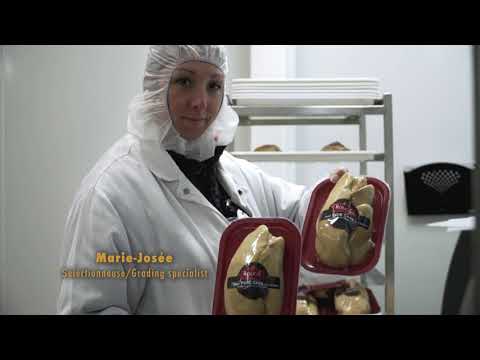 download lagu mp3 mp4 Bloc De Foie Gras Rougie, download lagu Bloc De Foie Gras Rougie gratis, unduh video klip Bloc De Foie Gras Rougie