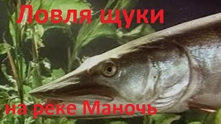Диалоги о рыбалке рыбалка на щуку
