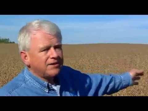 Monsanto, Mit Gift und Genen (arte 2008 107min Marie Monique Robin Dokumentation)