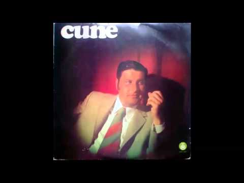 Predrag Gojkovic Cune - Probija se kolovodja - (Audio 1973) HD