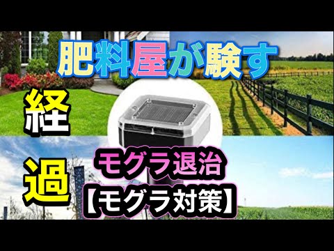 モグラに対する植物: 緑地からモグラを遠ざけるためのトップ 3!  庭園