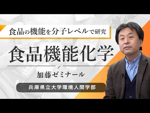 人間環境学科 加藤陽二ゼミ（食品機能化学）ー兵庫県立大学環境人間学部