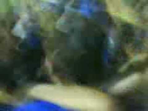 Confiança 3 x 1 Asa