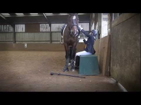 Bott supports Emily Skerrett - Para Dressage Paralympic Hopeful