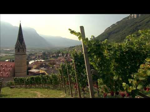 Vini Alto Adige - film formativo