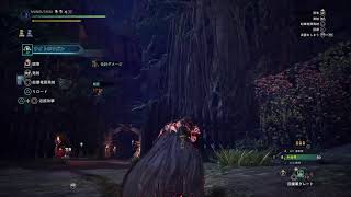 モンスターハンターワールド：アイスボーン」やっていきます
