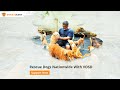 Donate Now And Be A Lifeline For India S Stray Dogs With Rakesh