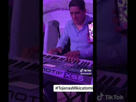 Vlada Sile i Mikica tomin