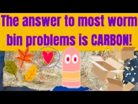 The answer to most worm bin problems is CARBON!