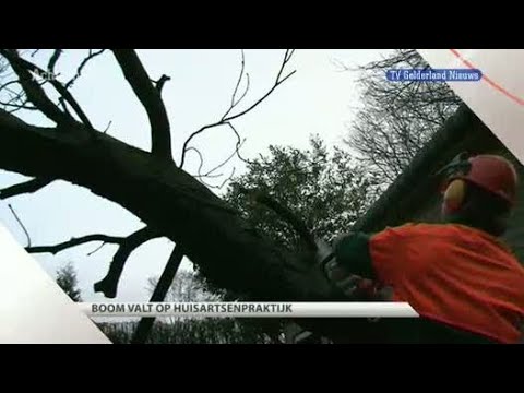 GLD Nieuws 15 februari 2011 - Nieuws