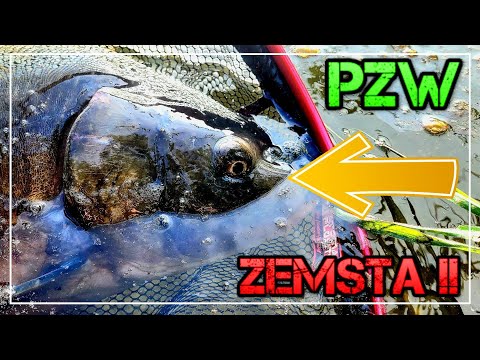 Revenge!!! Method Feeder at PZW