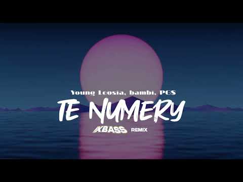 Young Leosia, bambi, PG$ - TE NUMERY (XBASS Remix)