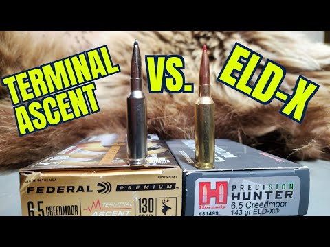 Hornady ELD-X vs. Federal Terminal Ascent 6.5 Creedmoor Ballistics Gel and Pork Shoulder Test.