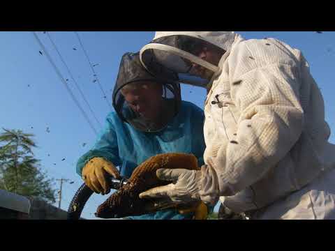 Charlie Bee Company | Reality Show Pilot | Chicago Independent Film and TV Festival