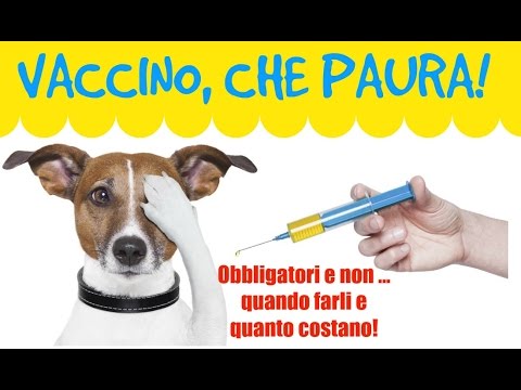Come imparare che i parassiti a Lei La pancreatite ha causato lyambliya