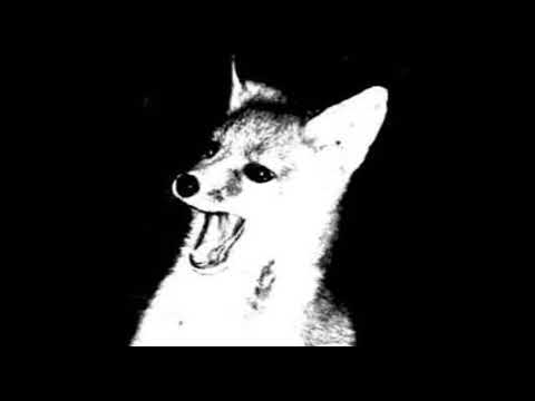 Melodic - Was hält mich? (prod. by DJ Blackbook)